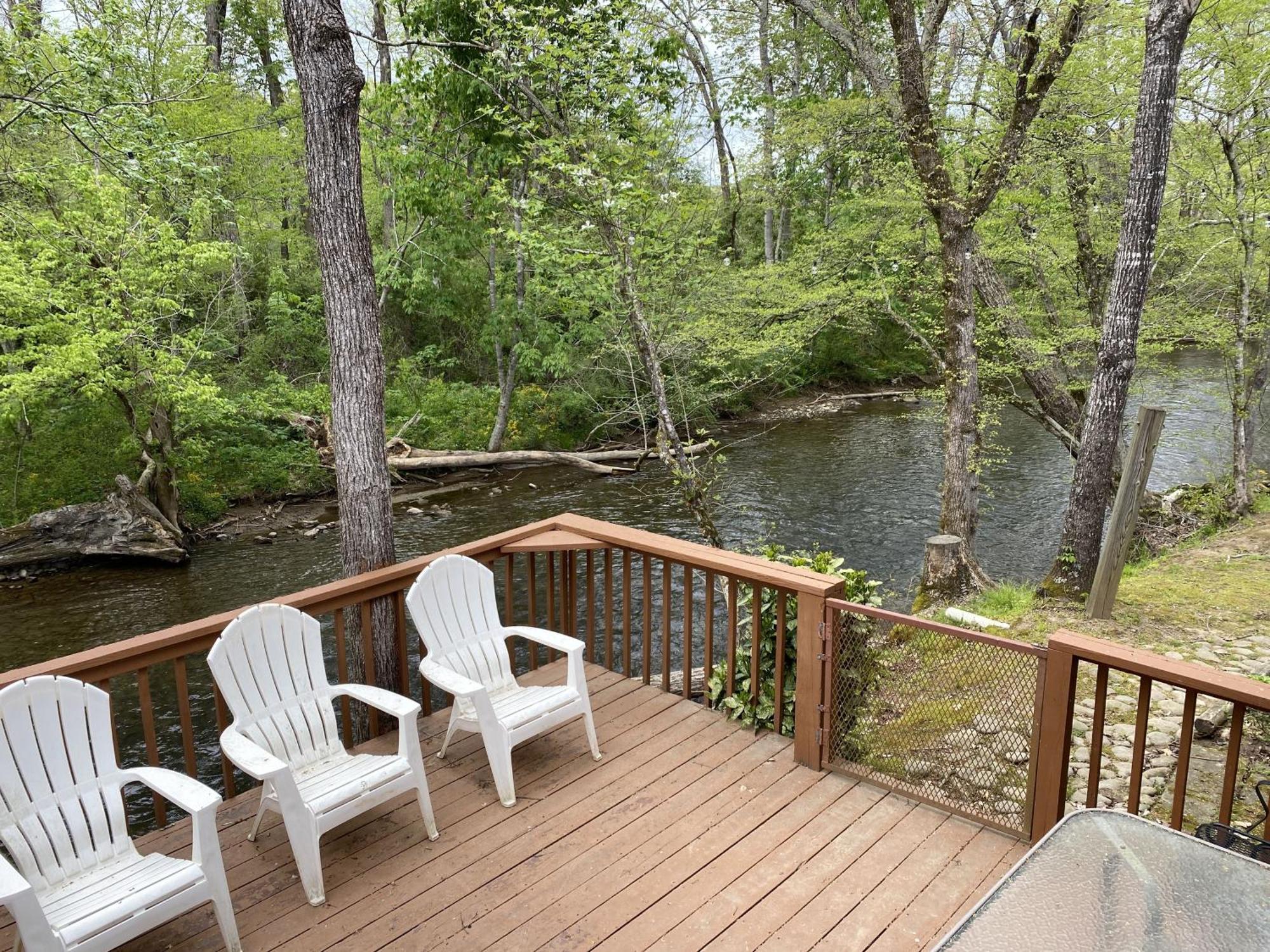 Gray'S Place On Cosby Creek - 2 Bedrooms, 2 Baths, Sleeps 6 Home المظهر الخارجي الصورة