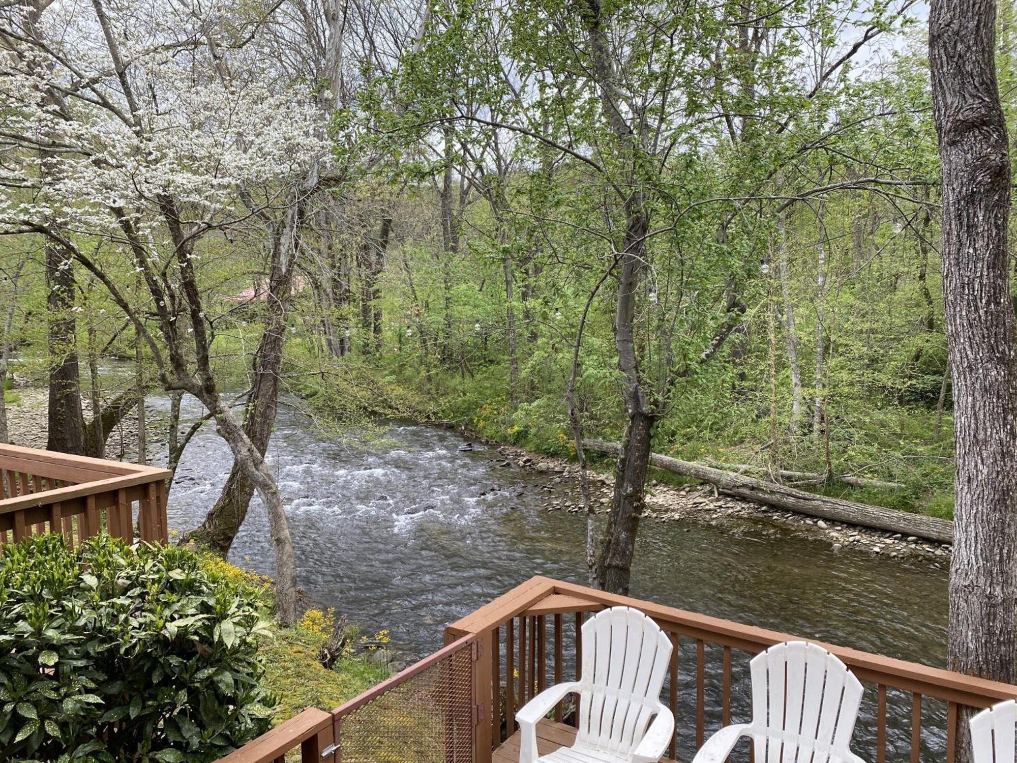 Gray'S Place On Cosby Creek - 2 Bedrooms, 2 Baths, Sleeps 6 Home المظهر الخارجي الصورة